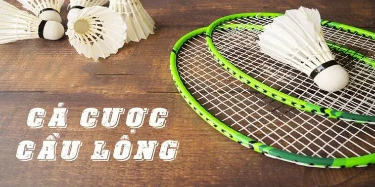 Cách Chơi Cá Cược Cầu Lông Tại 33Win Chi Tiết Hiệu Quả 2 Cách Chơi Cá Cược Cầu Lông Tại 33Win Chi Tiết Hiệu Quả