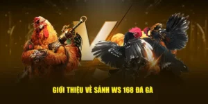 Cách Chơi Đá Gà WS168 Tại 33Win Hiệu Quả Cho Người Mới 2 Cách Chơi Đá Gà WS168 Tại 33Win Hiệu Quả Cho Người Mới