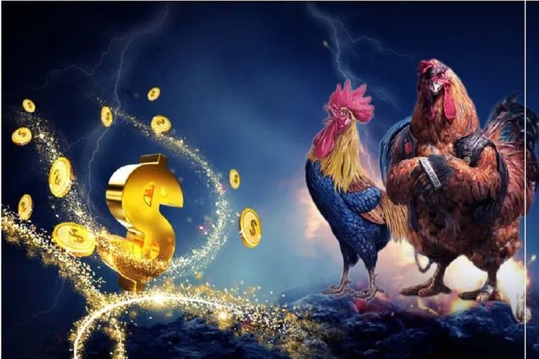 Trải Nghiệm Đá Gà 33Win Với Cá Cược An Toàn Hấp Dẫn