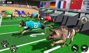 Cách Chơi Game Nhanh Đua Chó Hiệu Quả Nhất Tại 33Win 2 Cách Chơi Game Nhanh Đua Chó Hiệu Quả Nhất Tại 33Win