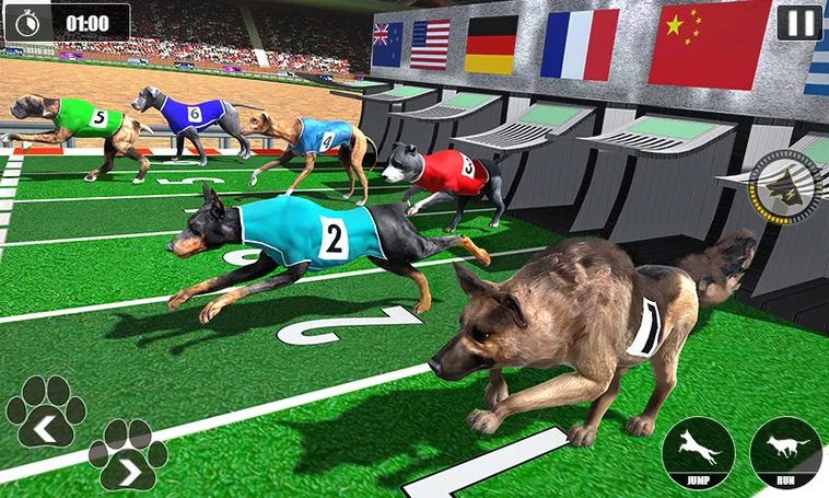 Cách Chơi Game Nhanh Đua Chó Hiệu Quả Nhất Tại 33Win 1 Cách Chơi Game Nhanh Đua Chó Hiệu Quả Nhất Tại 33Win