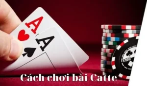 Cách Chơi Sắc Tê Nhà Cái 33Win Cho Tân Thủ Hiệu Quả 4 Cách Chơi Sắc Tê Nhà Cái 33Win Cho Tân Thủ Hiệu Quả